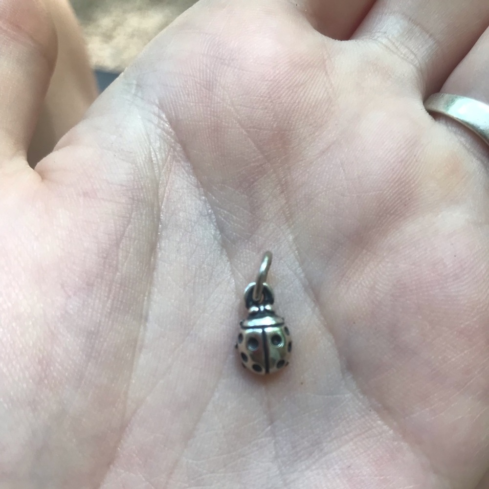 James Avery little ladybug charm